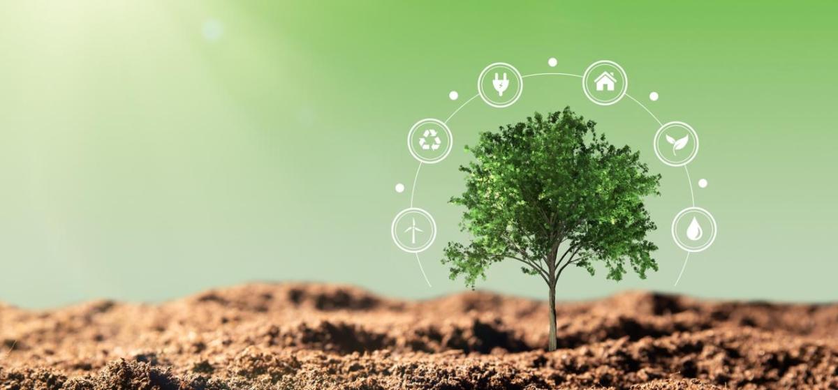 Tree surrounded by ESG symbols