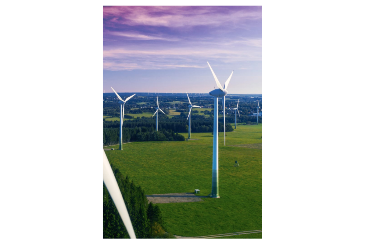 windmills