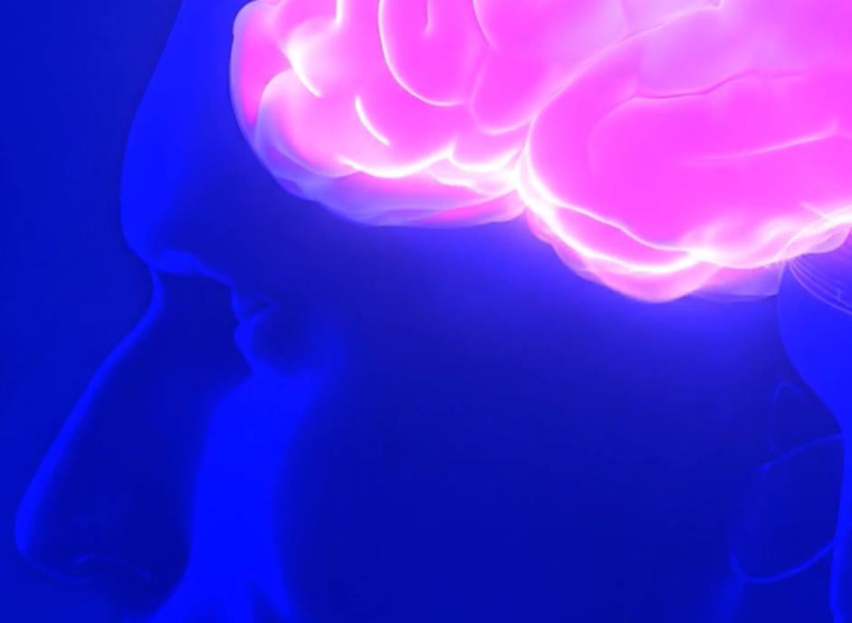 Illustration of human brain