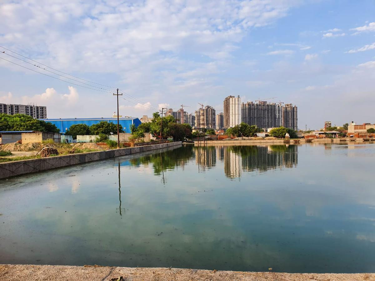 Pond in India after being cleaned