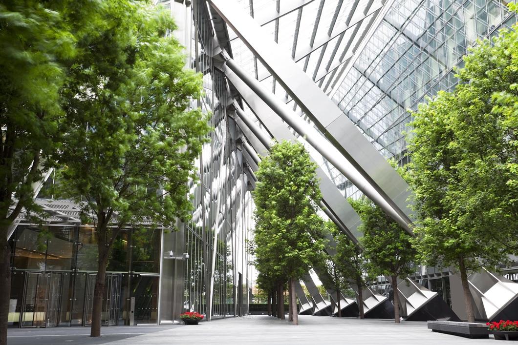 An office space with many windows and trees inside