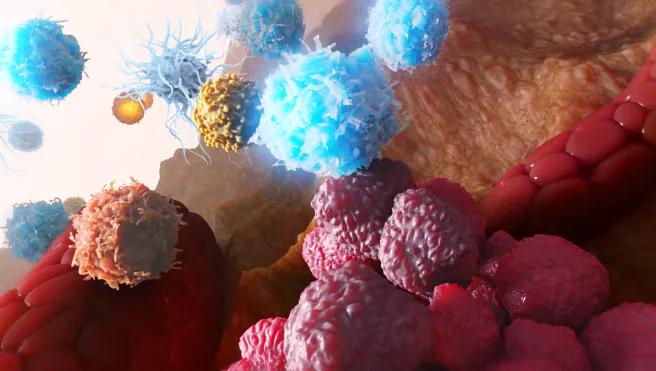Tumor enrvironment