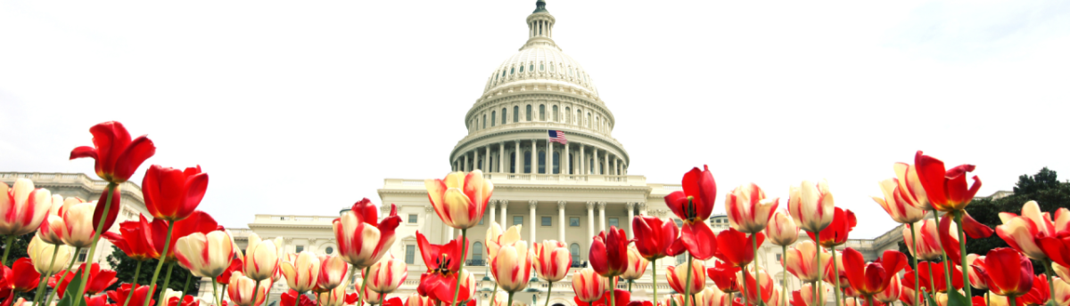 Capitol Hill