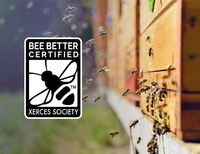 VFLP California's Burns Ranch Achieves Bee Better Certification™ from SCS Global Services 