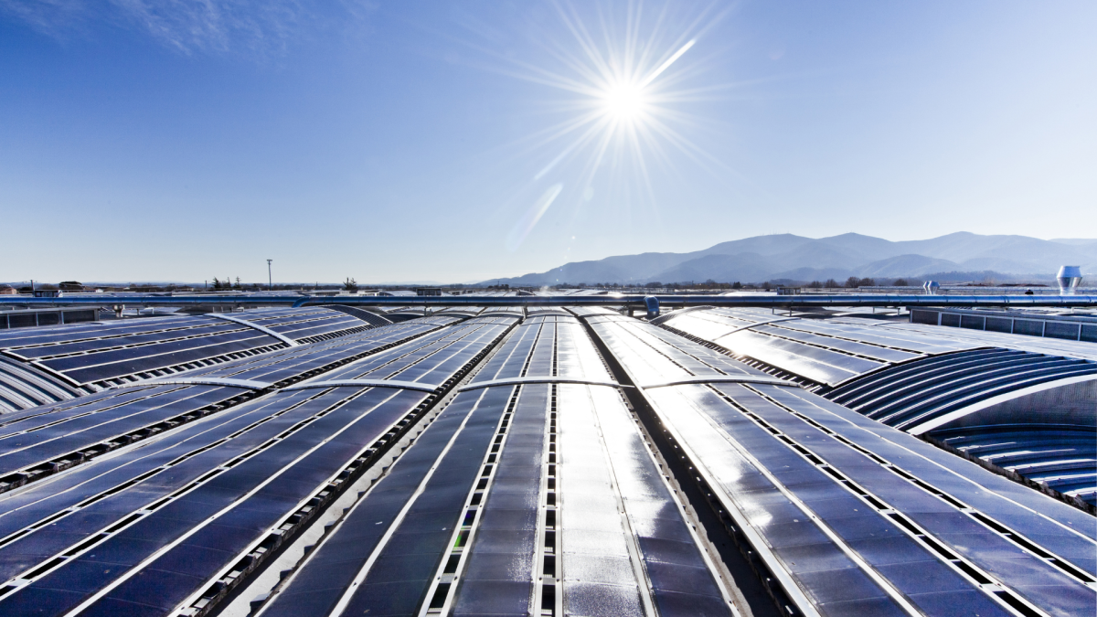 solar panels