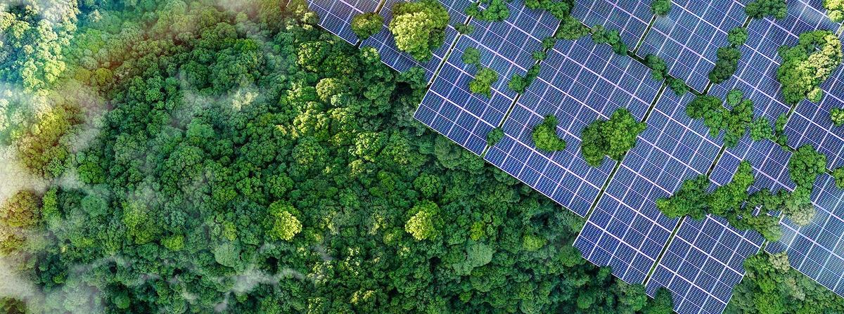 Aerial view of a solar panel array.