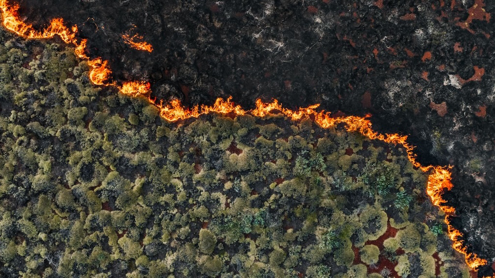 Aerial photo of wildfire.