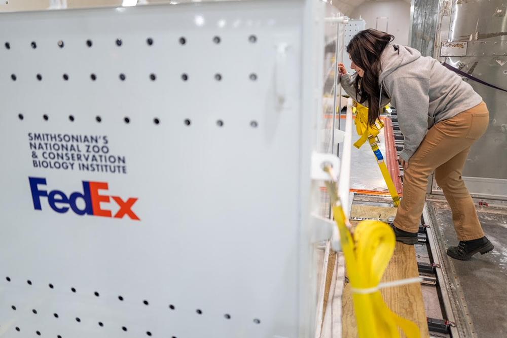 Person writes on FedEx crate