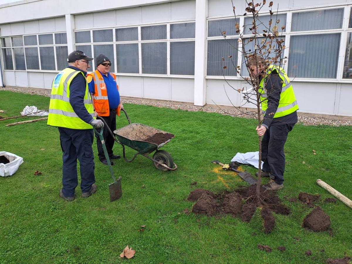 People planting a tree next to a building