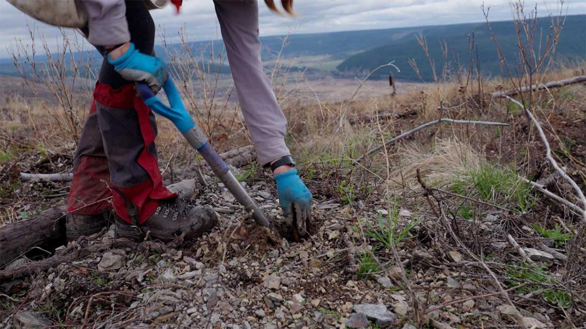 A person in hiking gear shown with a shovel and making a small hole.