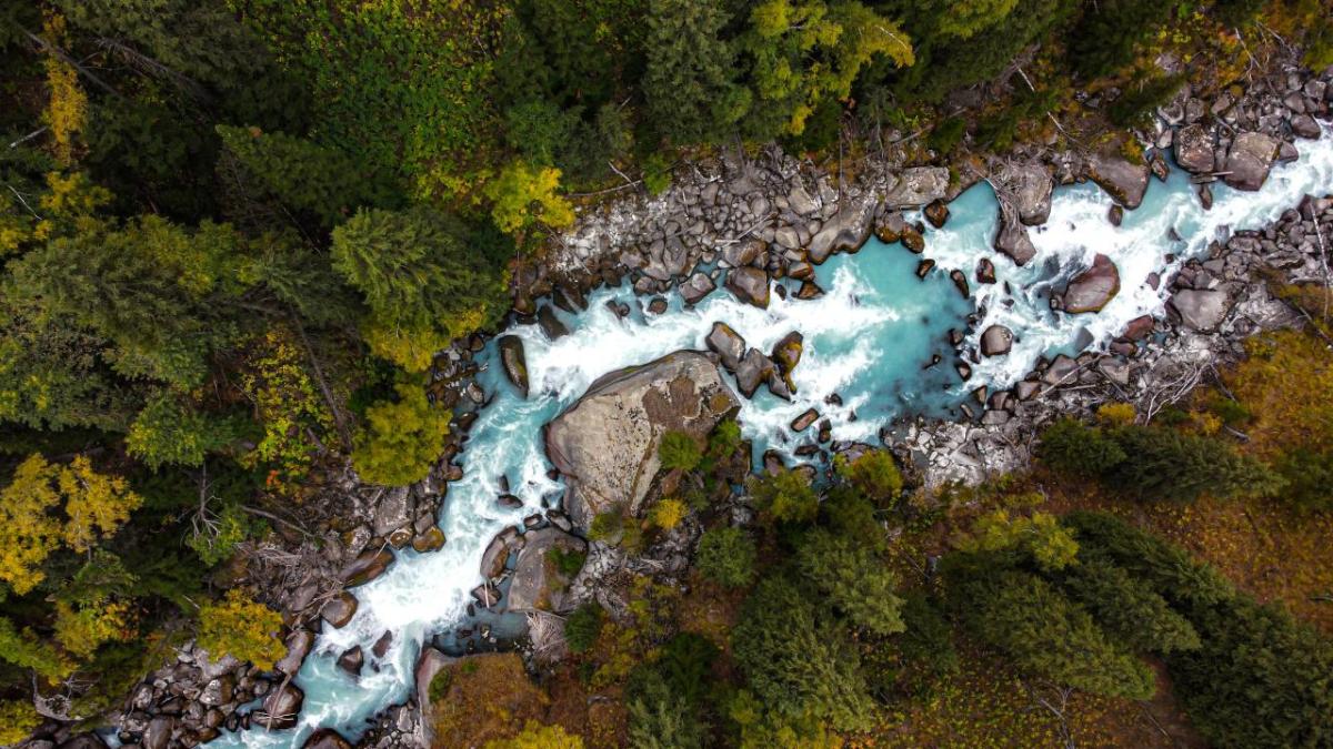 River seen from above
