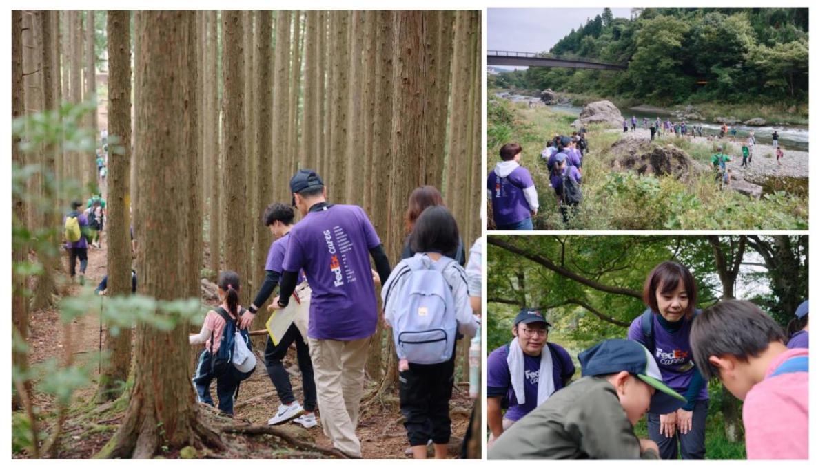 group of people working in forests