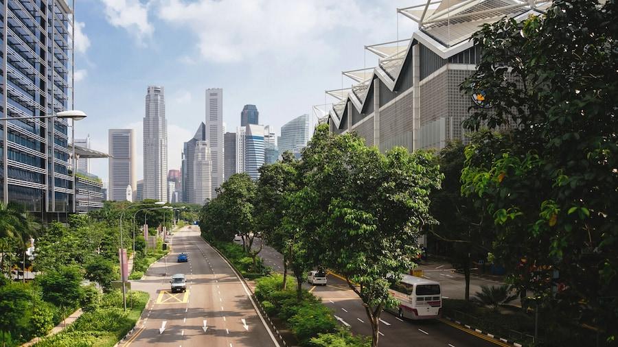 A city street lined with trees