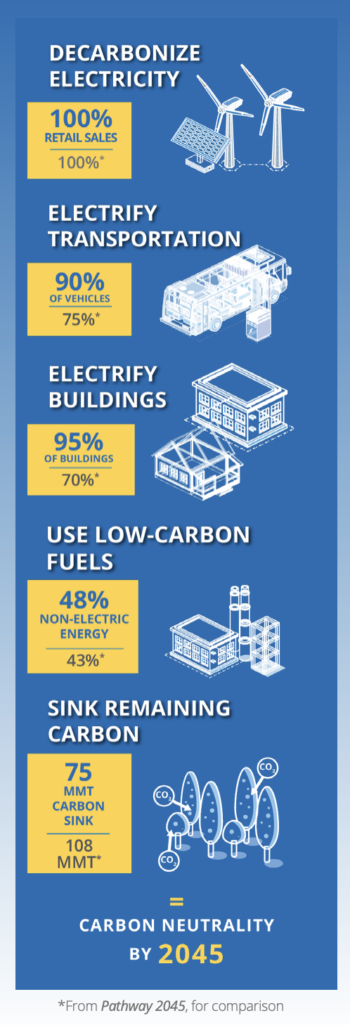 Electricy infographic