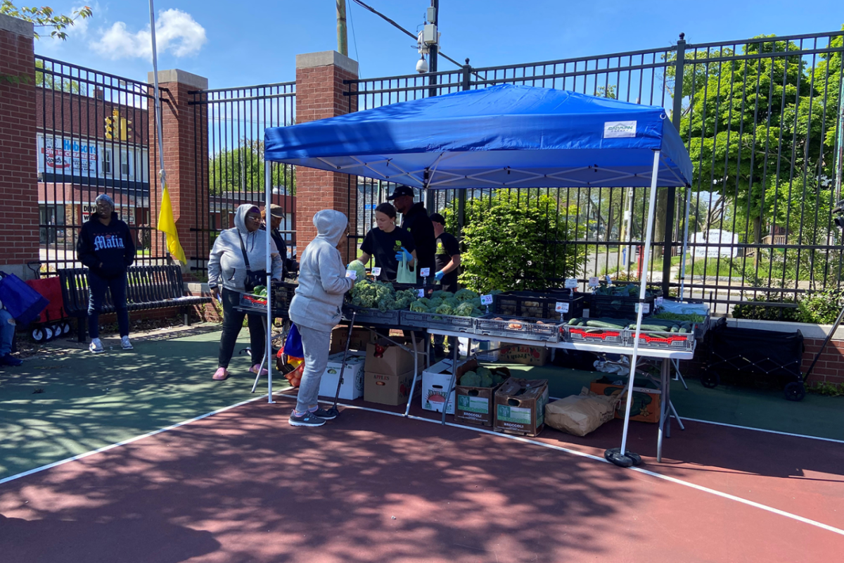 Farmer's market
