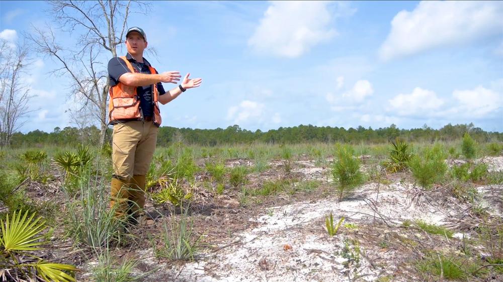 Forester gesturing at dry ground while speaking