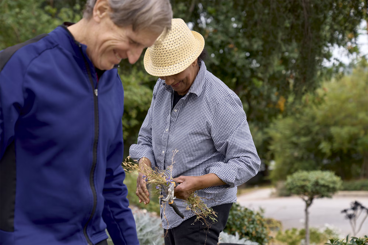 Two people gardening