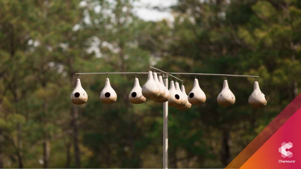 bird houses