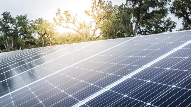 Solar panels in front of trees and a sunset