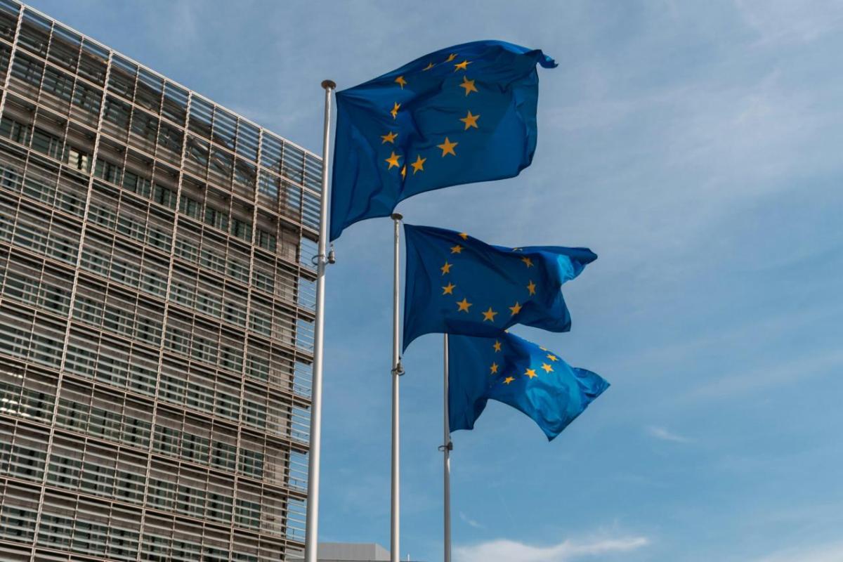 EU flags