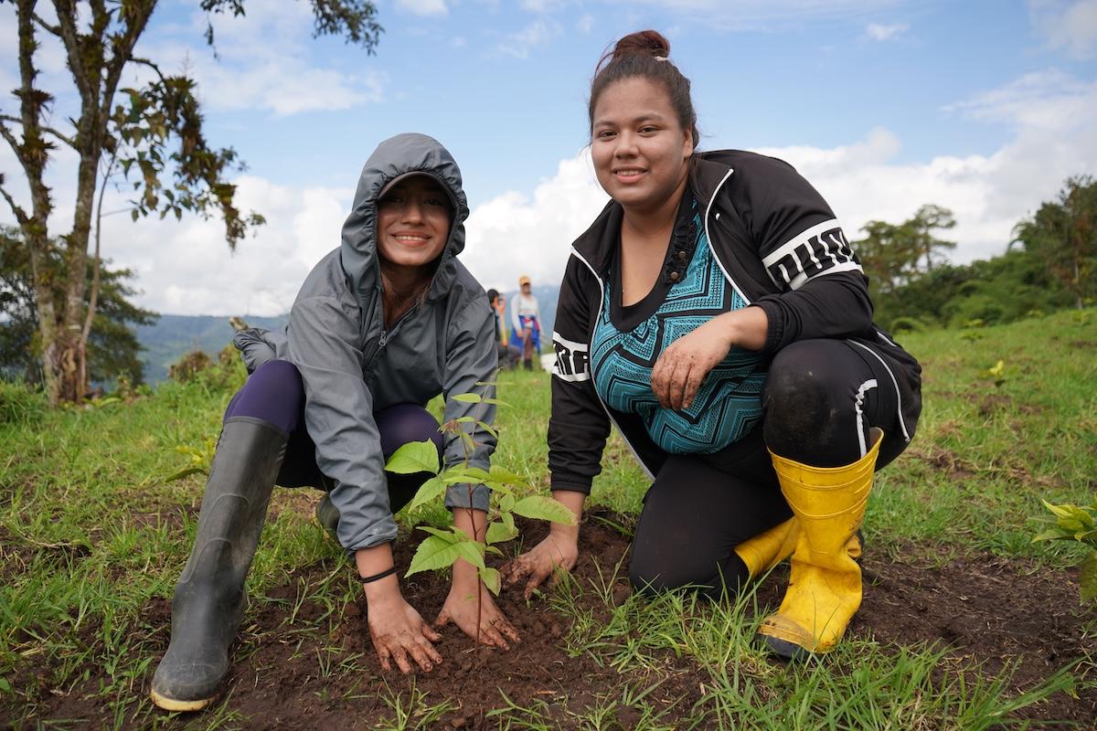 two people planting
