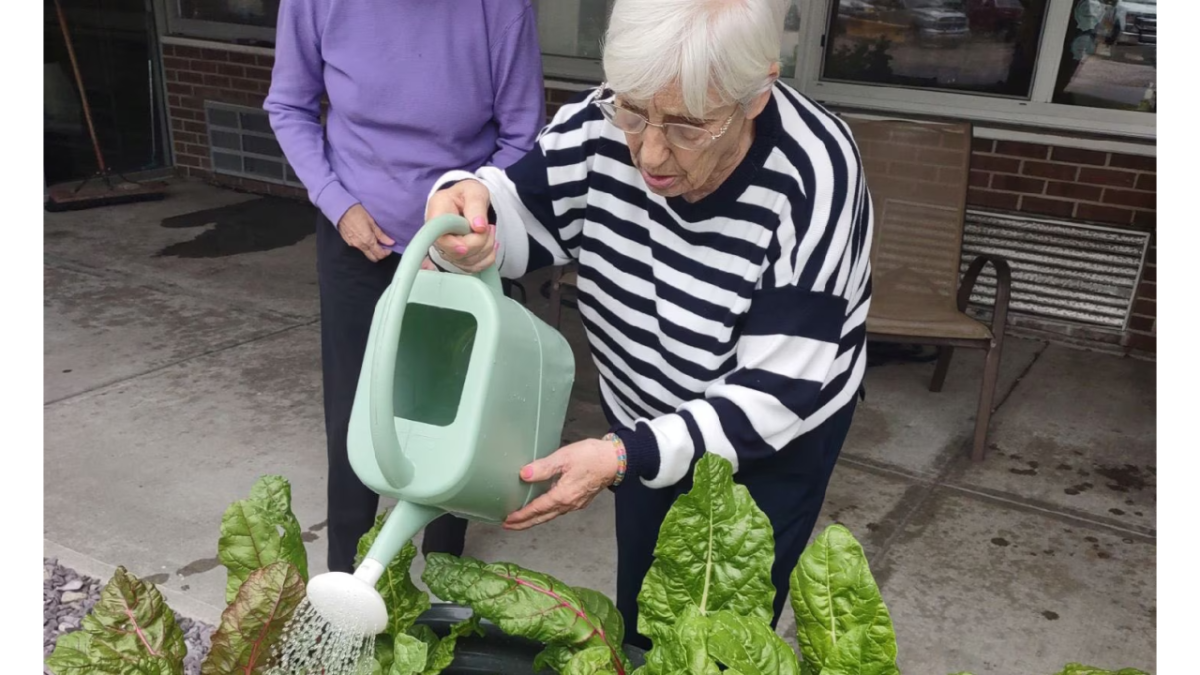 a person watering plants