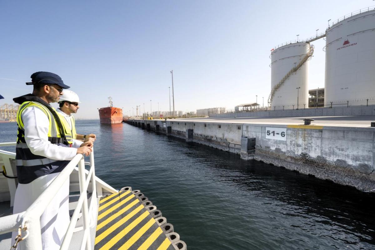 DP World employees observe Living Seawalls panels installed along a quay wall at Jebel Ali Port, where eco-engineered surfaces are transforming traditional port infrastructure into marine habitat.
