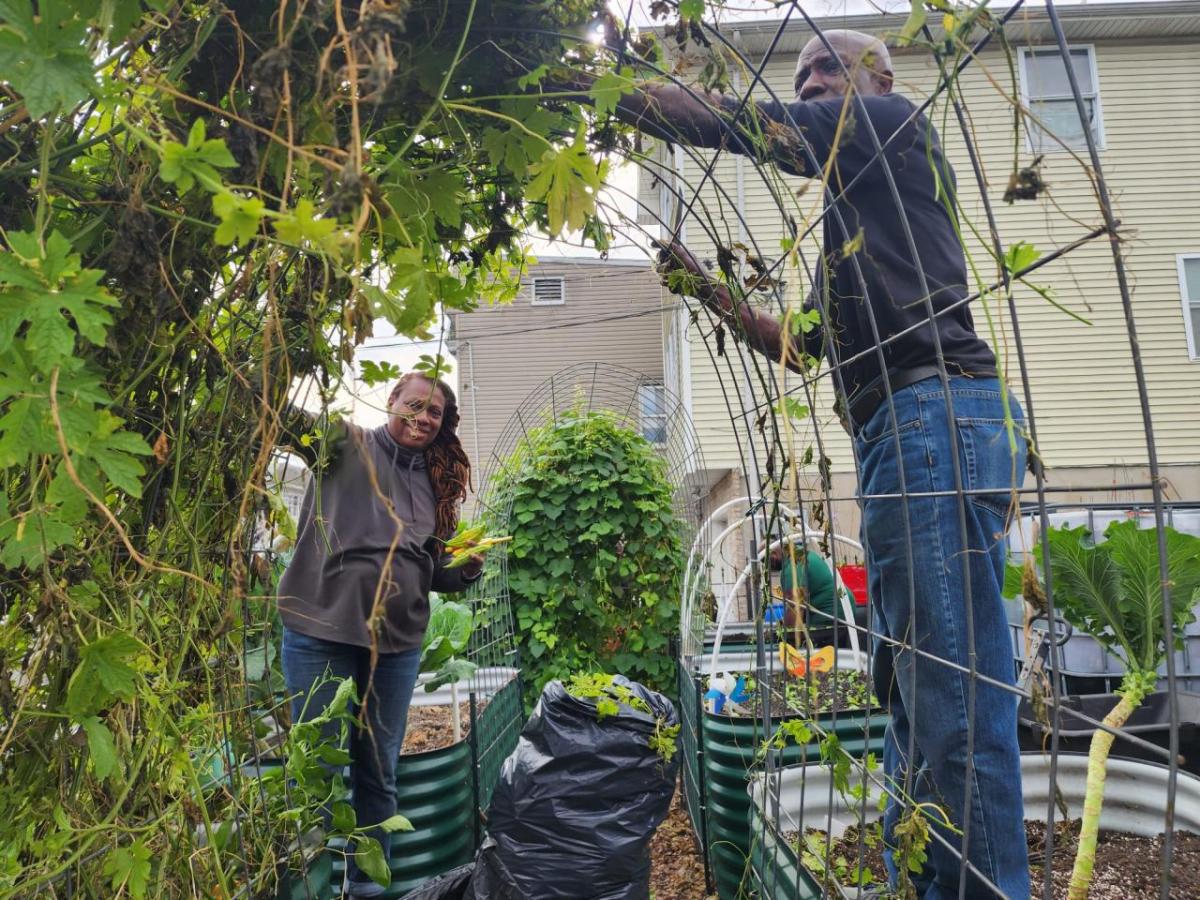 people working with plants