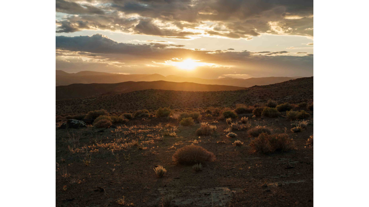 sun at horizon over a landscape