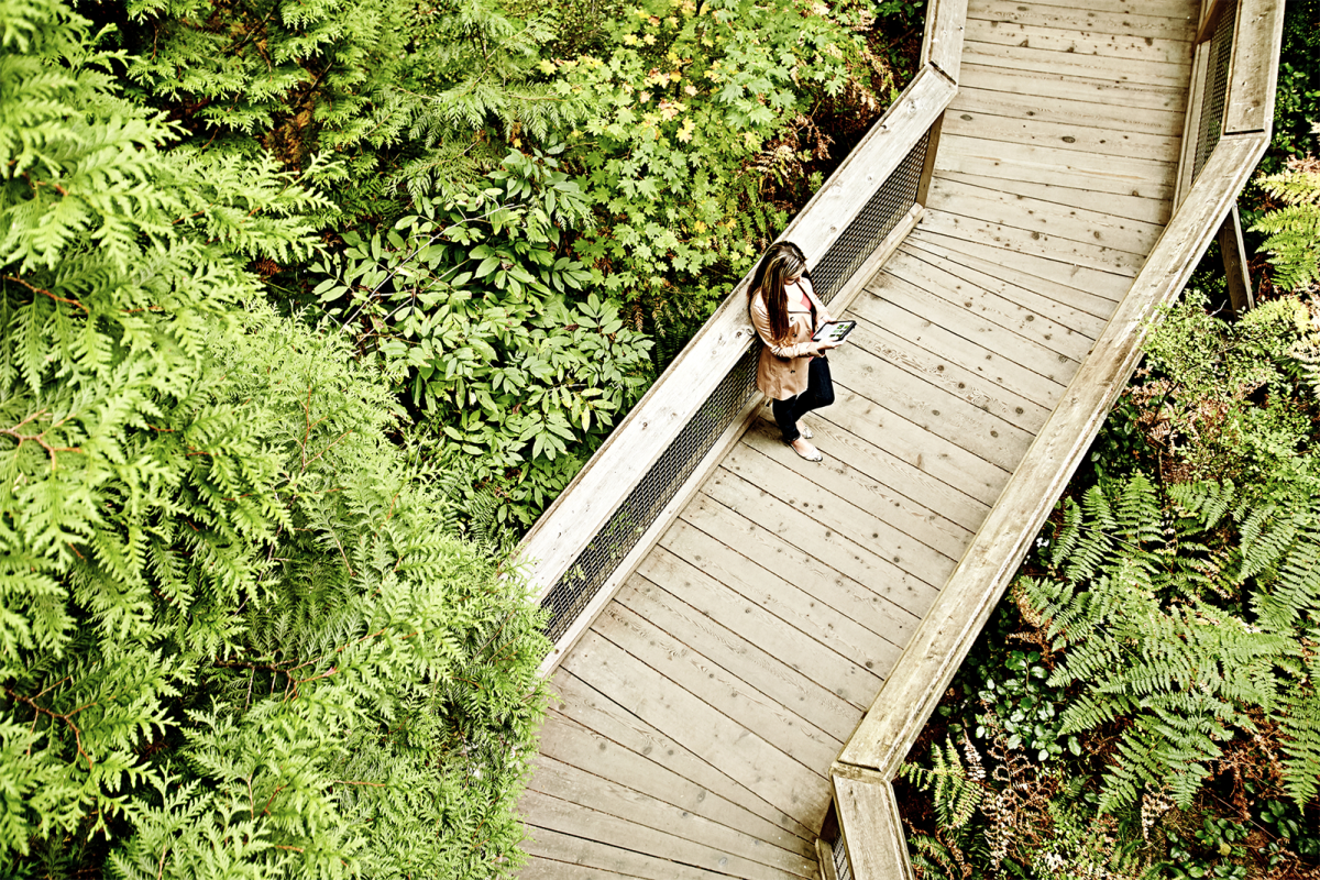 someone standing on a boardwalk surrounded by greenery
