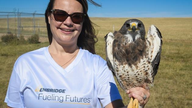 Person standing with hawk