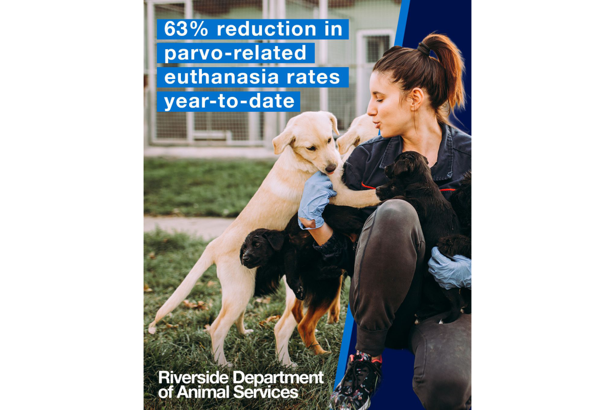 "63% reduction in parvo-related euthanasia rates year-to-date"
