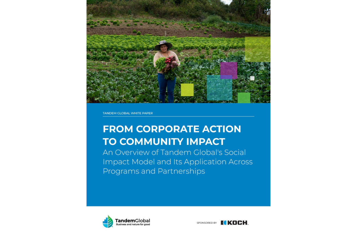 New White Paper from Tandem Global, Sponsored by Koch  