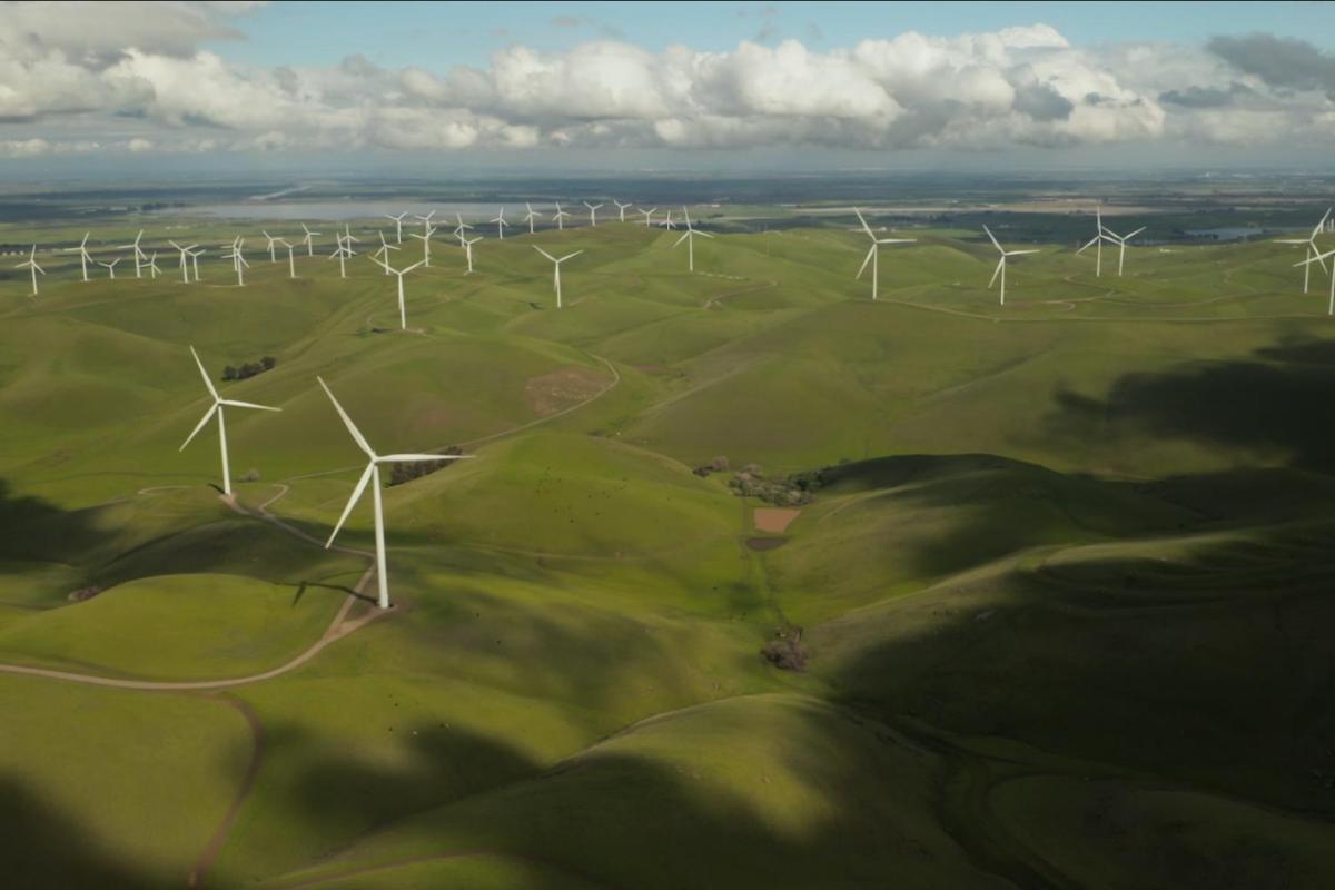 field of wind turbines