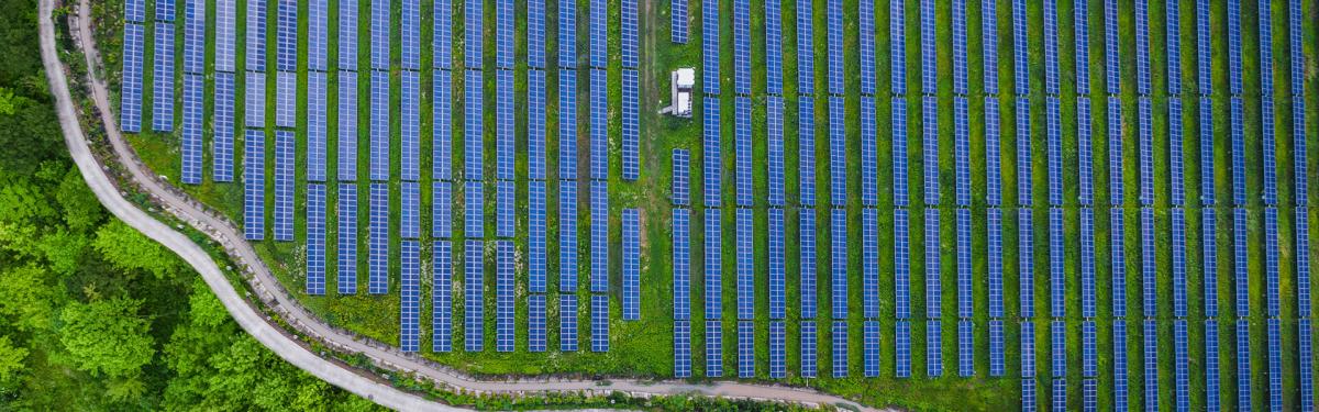 Aerial shot of solar panels in field
