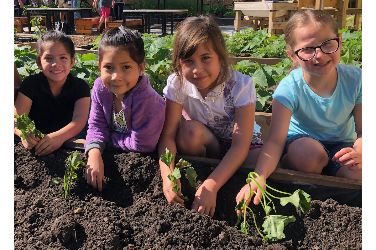 children working on a garden