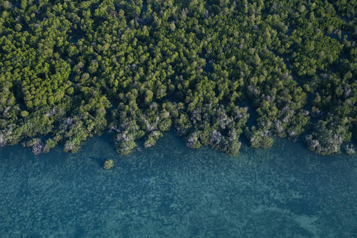 Pate Island. Credit: Roshni Lodhia