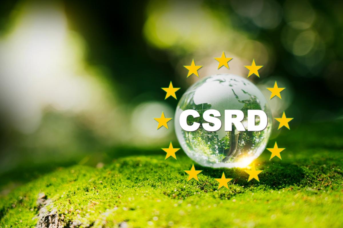 Small floating globe concept with "CSRD" in bold letters.