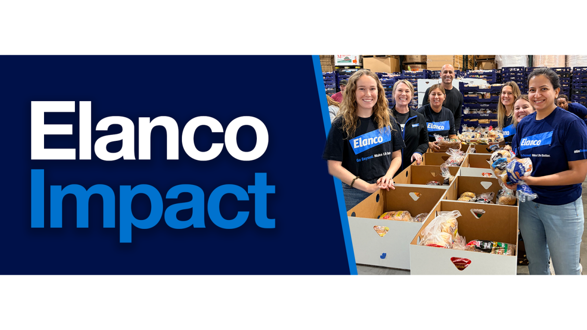 Elanco Impact (volunteers packing boxes of food)