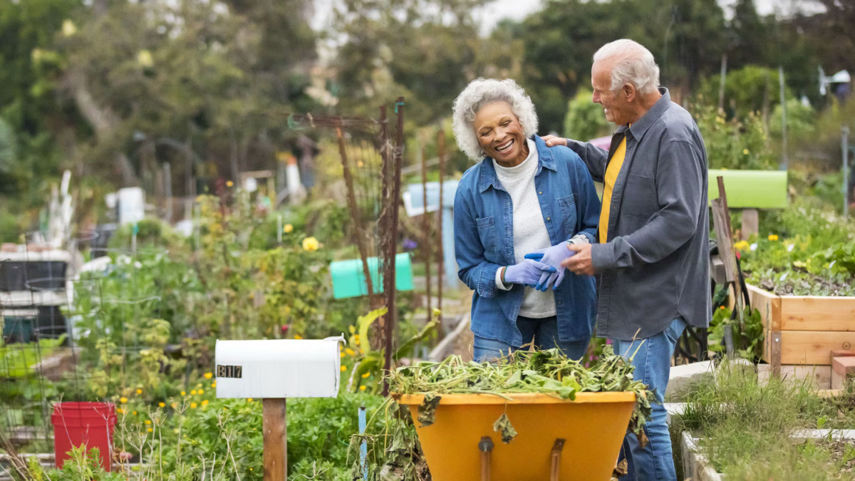 A smiling older couple gardening
