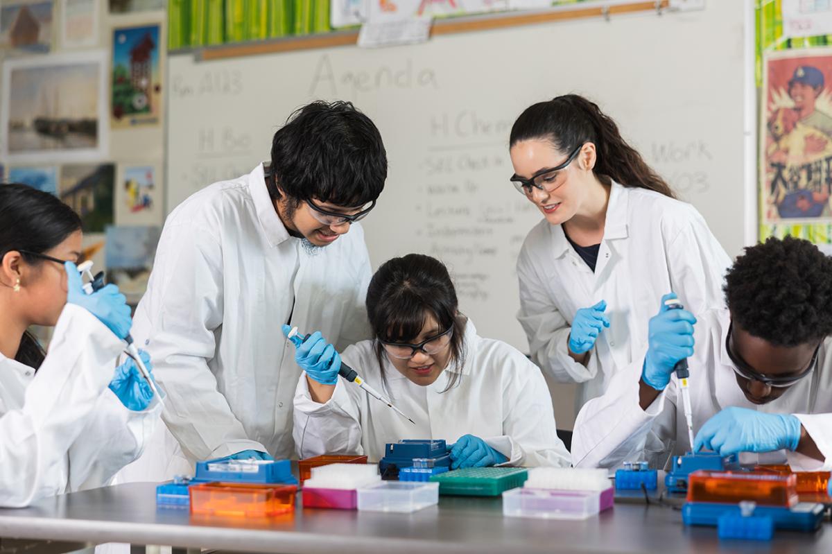 students working together on experiments
