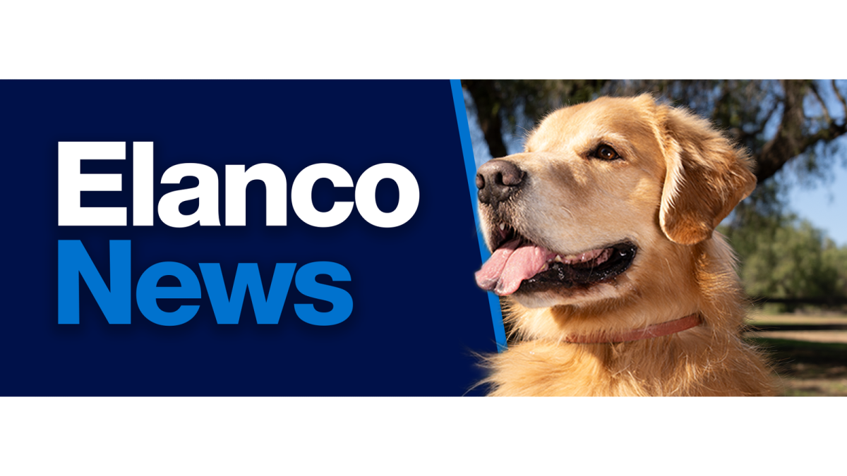 "Elanco News" with photo of golden retriever