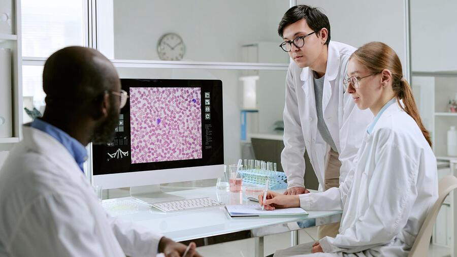 people working together in a lab