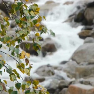 MARTINI_Hydropower