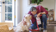 person with a dog