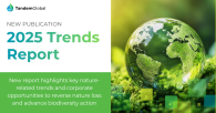 Tandem Global Trends Report