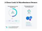 A chart showing a closer look at microbusiness owners. 