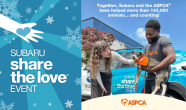 Someone pets a dog while another holds it, with text "Together, Subaru and the ASPCA have helped more than 142,000 animals... and counting!"