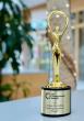 The Communicator Awards - Strategic Storytelling - Boehringer Ingelheim - Imagine 