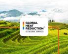 New Rice Farming Methodology